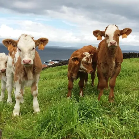Casa Da Arquinha * Santo Amaro