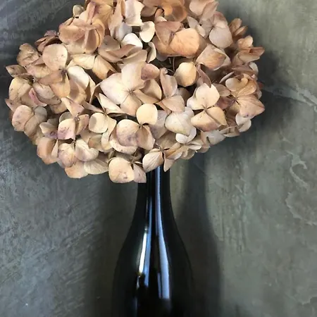 別荘 Casa Da Arquinha *