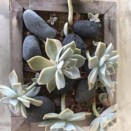 Casa Da Arquinha * Santo Amaro