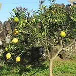 Дом отдыха Casa Da Arquinha Santo Amaro (Azores)