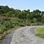 Дом отдыха Casa Da Arquinha