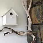 Дом отдыха Casa Da Arquinha