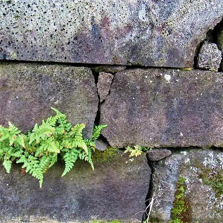 Casa Da Arquinha Dom wakacyjny Santo Amaro (Azores)