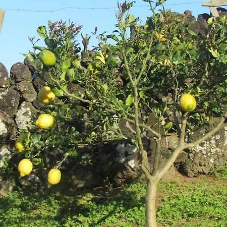Holiday home Casa Da Arquinha Santo Amaro (Azores)
