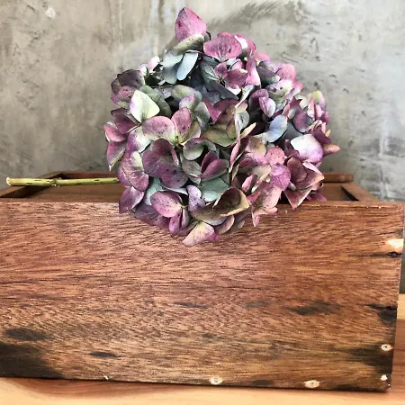 Casa Da Arquinha Dom wakacyjny