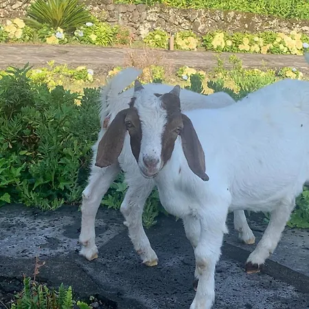 Casa Da Arquinha 別荘