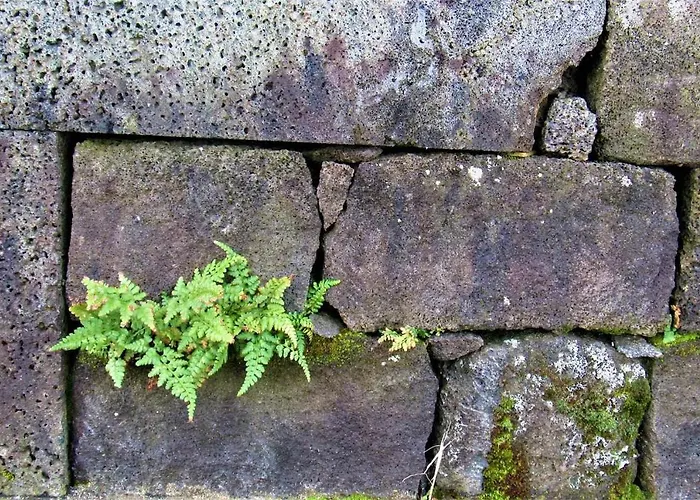 Casa Da Arquinha 別荘 Santo Amaro