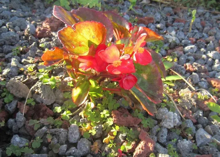 Casa Da Arquinha 別荘