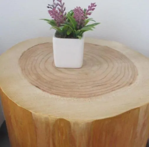 Casa Da Arquinha 別荘 *