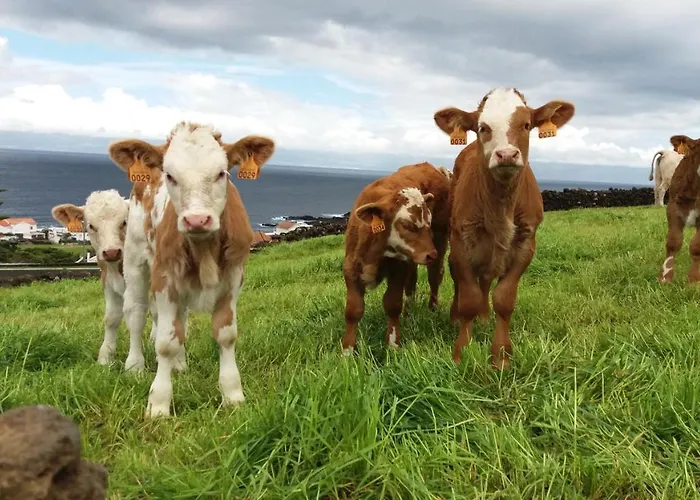Casa Da Arquinha * Santo Amaro
