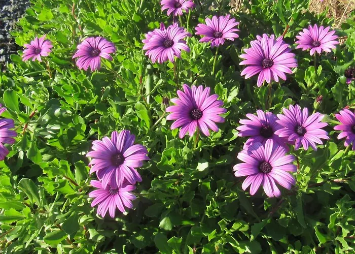 Casa Da Arquinha * Santo Amaro