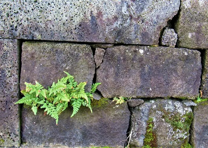 Casa Da Arquinha 別荘
