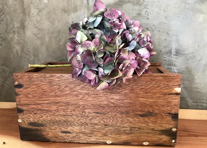 Casa Da Arquinha Holiday home