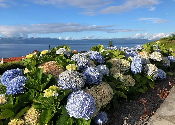 Holiday home Casa Da Arquinha Santo Amaro (Azores)