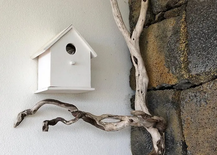 別荘 Casa Da Arquinha