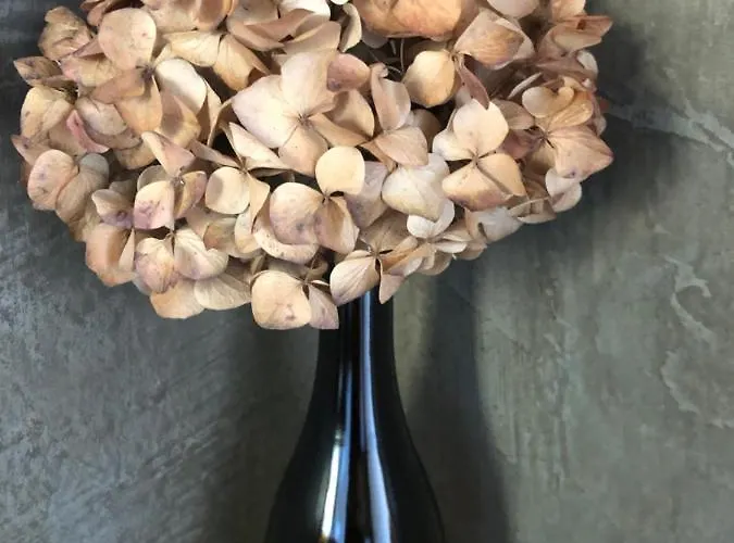 別荘 Casa Da Arquinha *