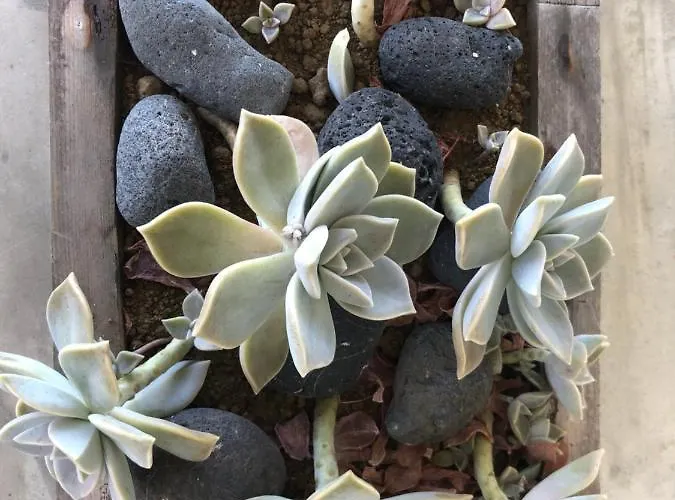 Casa Da Arquinha * Santo Amaro