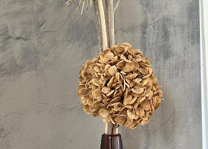 Casa Da Arquinha 別荘