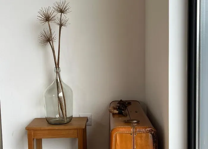 Casa Da Arquinha 別荘 Santo Amaro