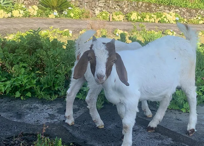 Casa Da Arquinha 別荘