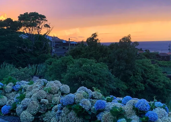 Casa Da Arquinha 別荘 Santo Amaro