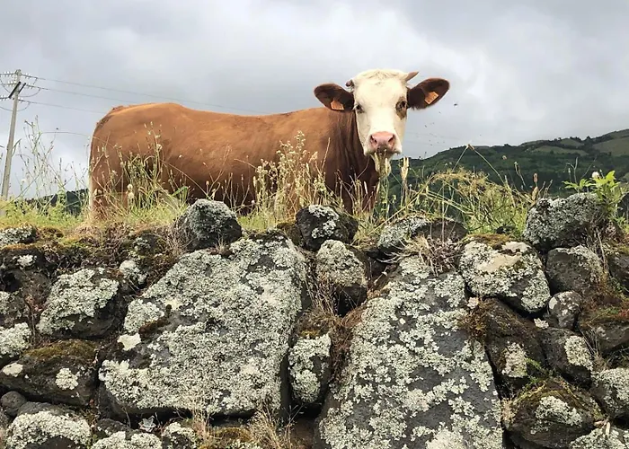 別荘 Casa Da Arquinha Santo Amaro