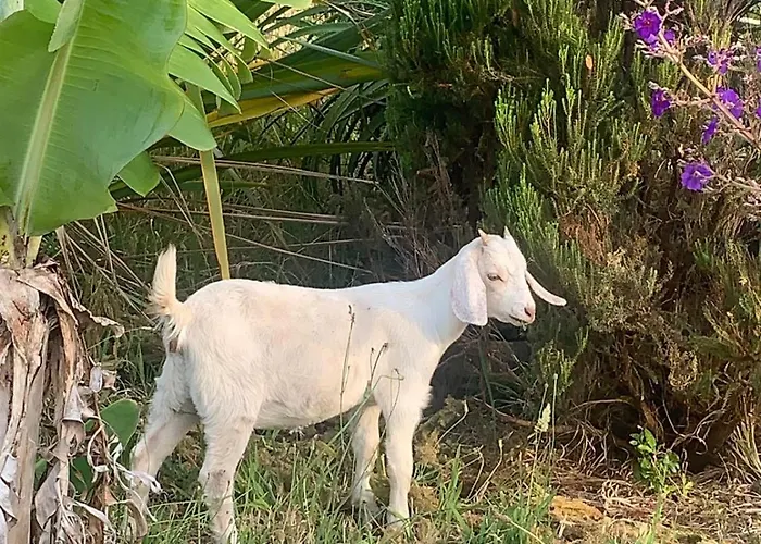 Casa Da Arquinha * Santo Amaro